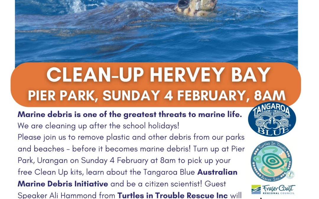 Clean Up Hervey Bay
